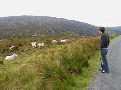 Honeymoon Adventure in Ireland, travel Ireland, Irish castles, driving Ireland, Irish B&S's