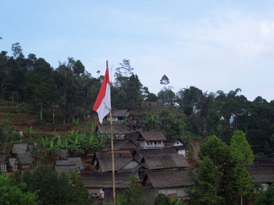 The Kasepuhan Community and Gunung Halimun National Park, Kasepuhan, south-west Java, Indonesia, Gunung Halimun National Park flora