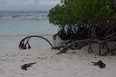 Galapagos photos 